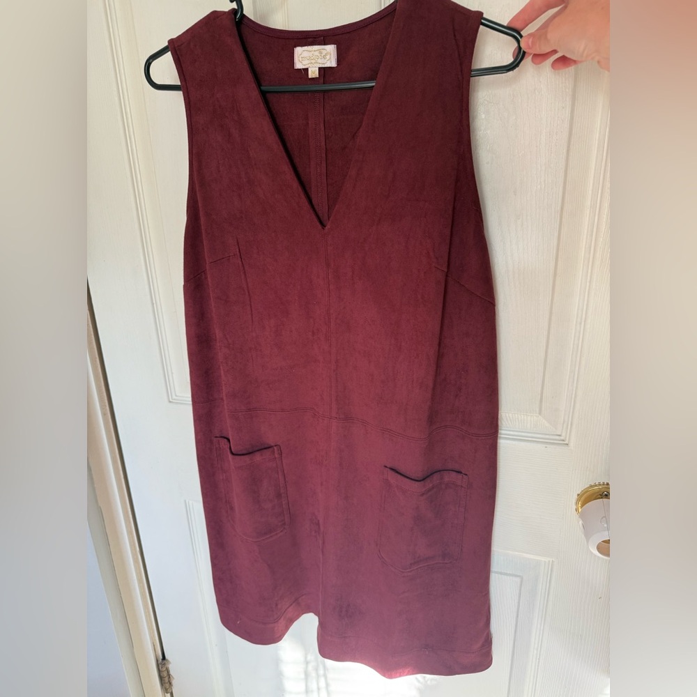 Mud Pie Wilder Suede Mini Dress